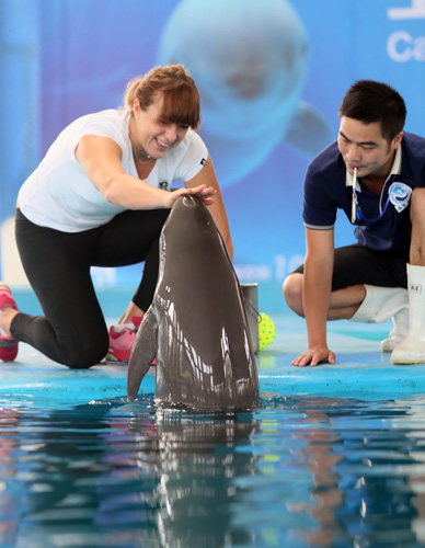 最值得写入 最值得写入